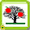 081 drzewa owocowe