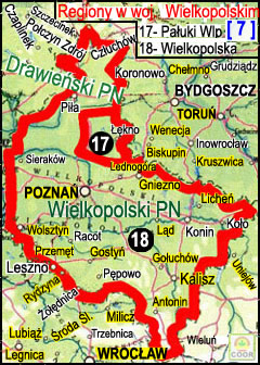 region_wielkopolskie.jpg